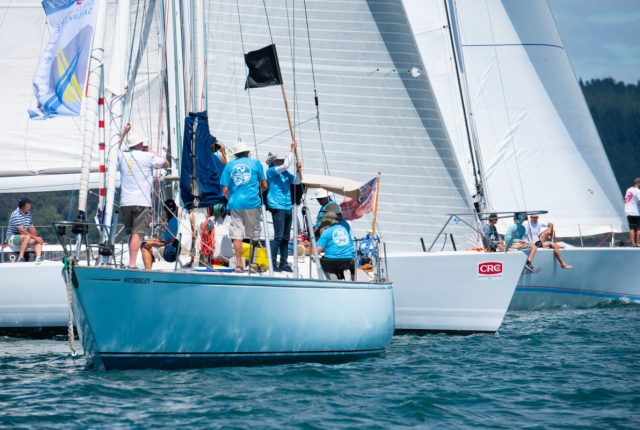 Bay of Islands Sailing Week seeks new sponsors and volunteers teaser image